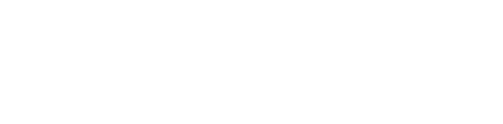 Pulse